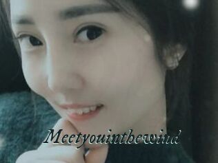 Meetyouinthewind