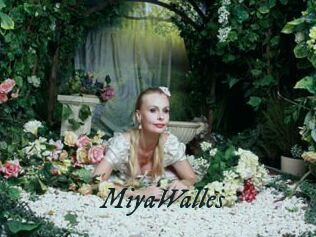 MiyaWalles