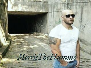 MorrisTheHumme