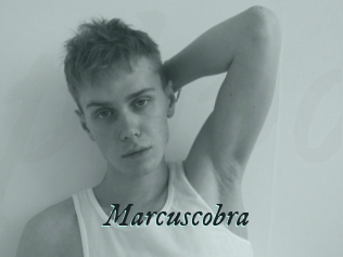 marcuscobra Pharaons Porn
