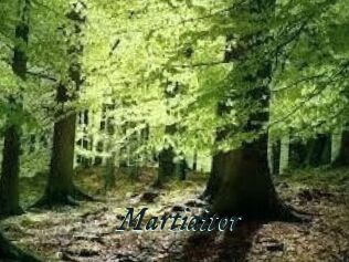 Martiaitor