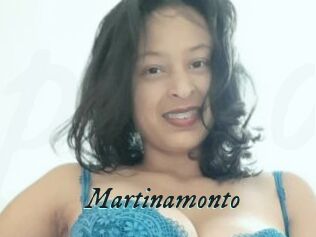 Martinamonto