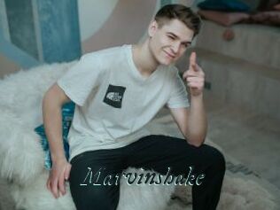 Marvinshake