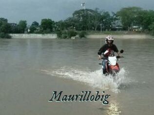 Maurillobig