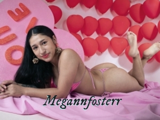 Megannfosterr