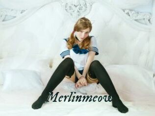 Merlinmeow