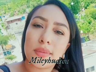 Mileyhudson