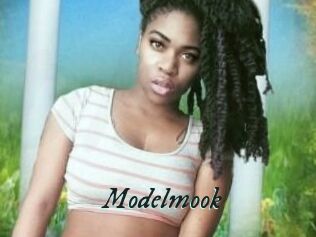 Modelmook