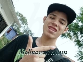 Molinascarloscam