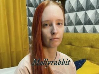 Mollyrabbit