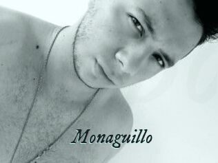 Monaguillo