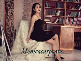 Monicacatpaws