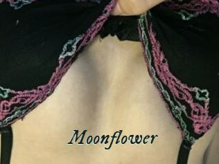Moonflower