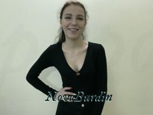 NovaBurdin