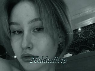 Neldaalltop