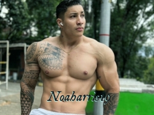 Noaharris19