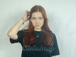 Odeliadrudge