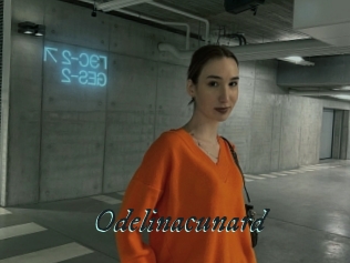 Odelinacunard