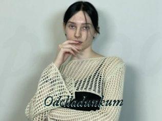 Odelladunkum
