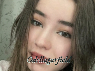 Odellagarfield