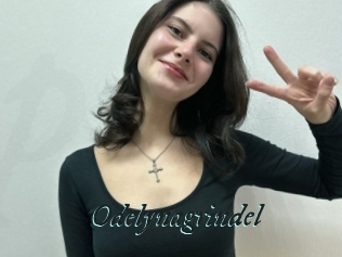 Odelynagrindel