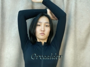 Orvaalder