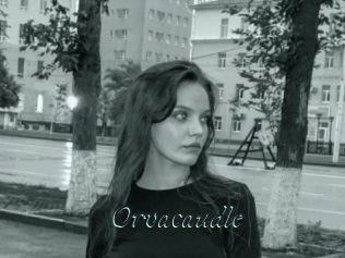 Orvacaudle