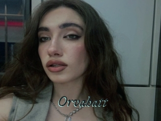 Orvahatt