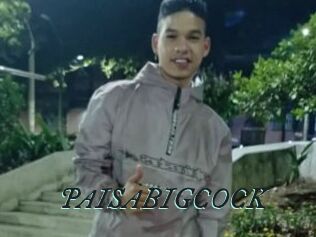 PAISABIGCOCK