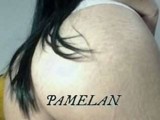 PAMELA_N