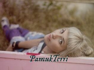 PamukTerri