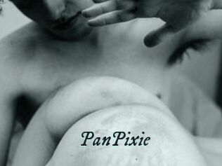 PanPixie