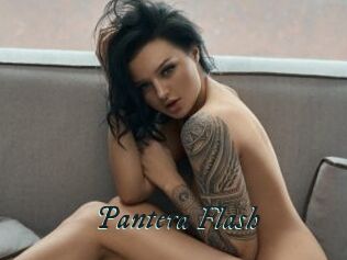 Pantera_Flash