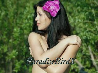 ParadiseBirdX