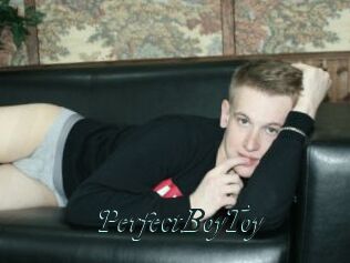 PerfectBoyToy