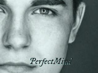 PerfectMind