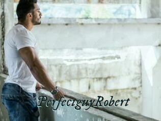 PerfectguyRobert