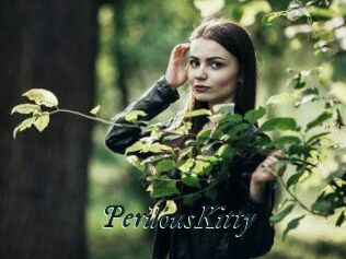 Perilous_Kitty