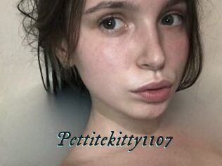 Pettitekitty1107
