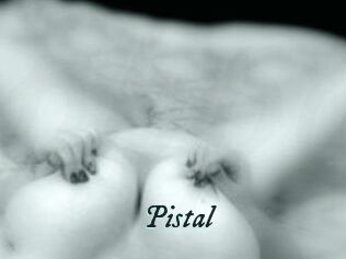 Pistal