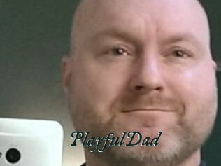 PlayfulDad