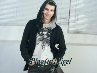 PlayfulNigel