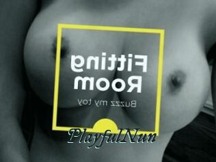 PlayfulNun