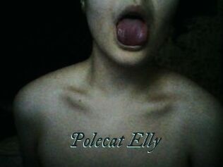 Polecat_Elly