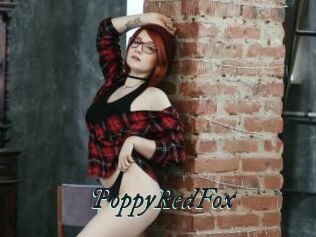 PoppyRedFox