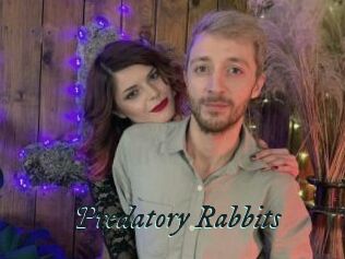Predatory_Rabbits