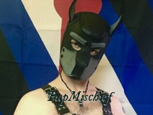 PupMischief