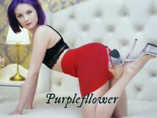 Purplefllower