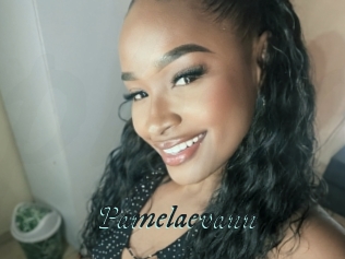 Pamelaevann