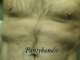 Pantybandit